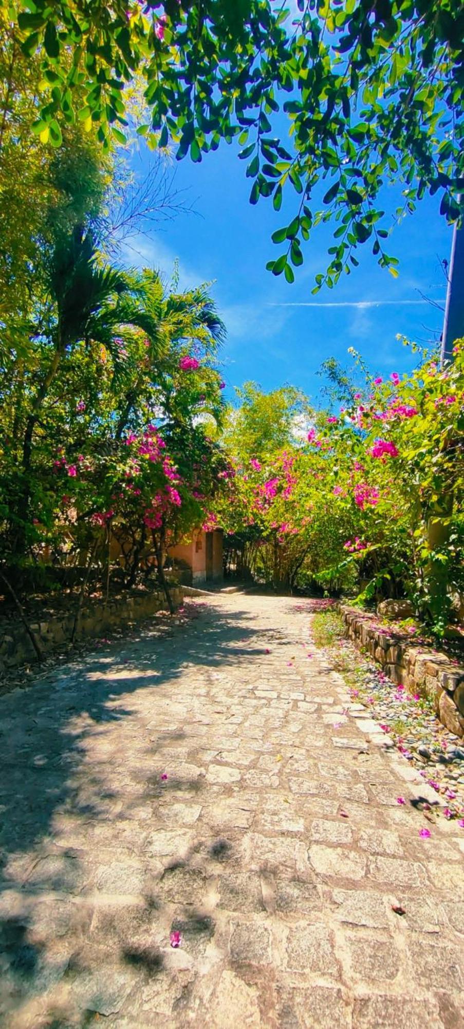 Wild Beach Boutique Resort Ninh Phuoc Екстериор снимка