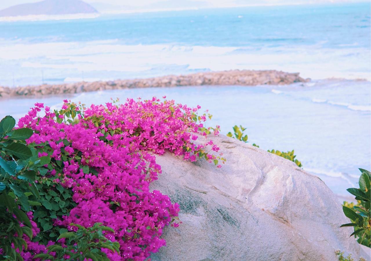 Wild Beach Boutique Resort Ninh Phuoc Екстериор снимка